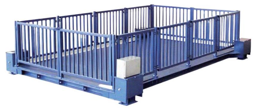 SCS-Xt-XPW